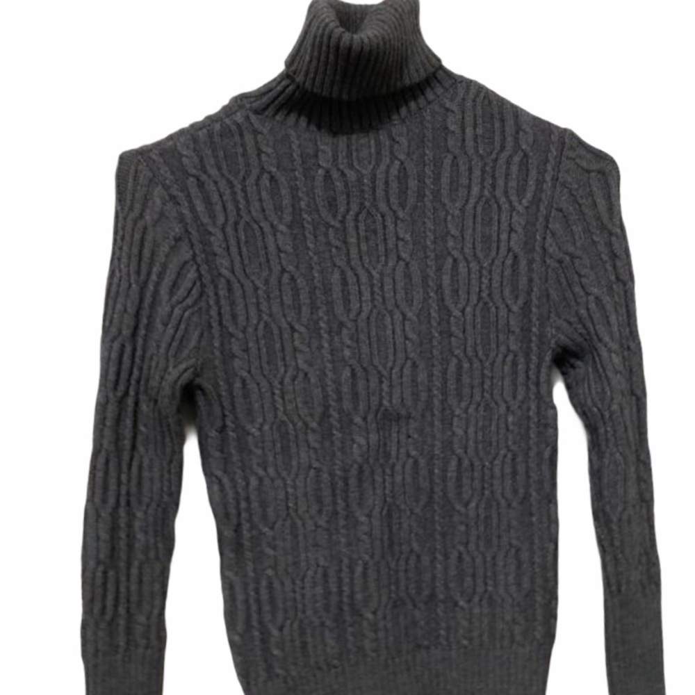 Zara knit high neck basic.